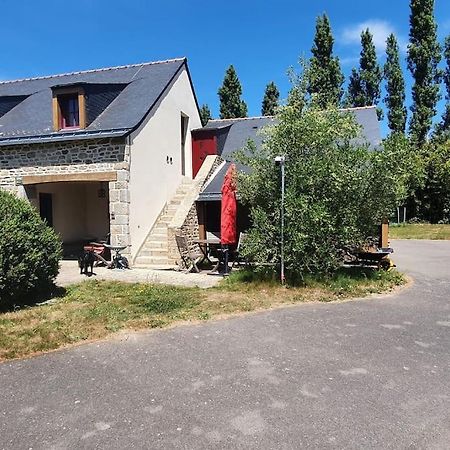 Tout Le Confort Au Milieu D'Un Parc Botanique Noyal-Muzillac エクステリア 写真