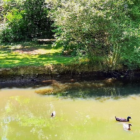 Tout Le Confort Au Milieu D'Un Parc Botanique Noyal-Muzillac エクステリア 写真