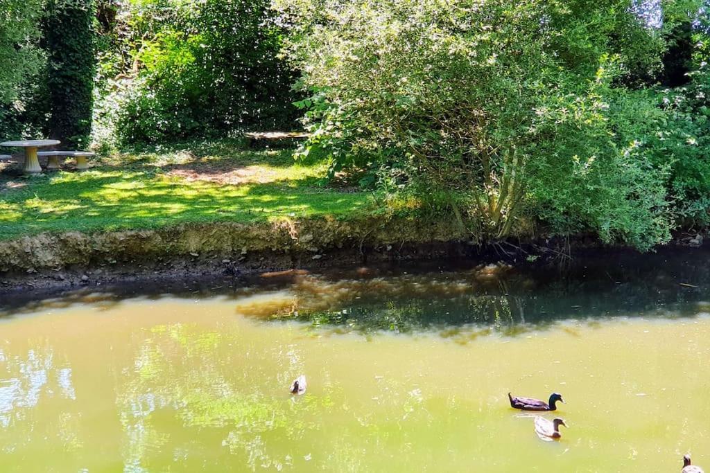Tout Le Confort Au Milieu D'Un Parc Botanique Noyal-Muzillac エクステリア 写真