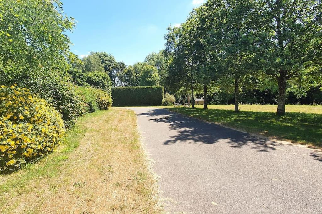 Tout Le Confort Au Milieu D'Un Parc Botanique Noyal-Muzillac エクステリア 写真